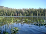 Image 44 in Bench Lakes photo album.