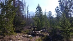 Image 8 in Big Creek Peaks photo album.