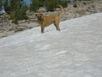 Image 177 in Bighorn Crags photo album.