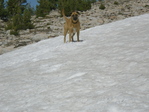 Image 178 in Bighorn Crags photo album.