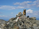 Image 179 in Bighorn Crags photo album.