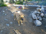 Image 412 in Bighorn Crags photo album.
