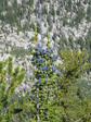 Image 564 in Bighorn Crags photo album.