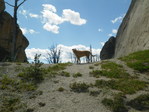 Image 584 in Bighorn Crags photo album.