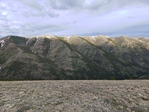 Album image for Black Pine Mountains