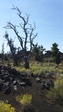 Image 13 in Craters of the Moon photo album.