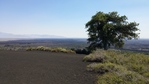 Image 52 in Craters of the Moon photo album.