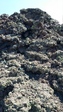 Image 63 in Craters of the Moon photo album.
