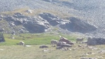 Image 14 in Goat Mountain photo album.