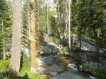 Image 4 in High Sierra Trail photo album.