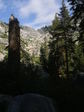 Image 5 in High Sierra Trail photo album.