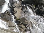 Image 31 in High Sierra Trail photo album.