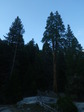 Image 46 in High Sierra Trail photo album.