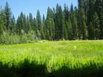 Image 49 in High Sierra Trail photo album.