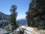 Image 156 in High Sierra Trail photo album.
