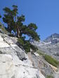 Image 176 in High Sierra Trail photo album.