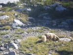 Image 241 in High Sierra Trail photo album.