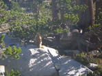 Image 242 in High Sierra Trail photo album.
