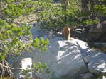 Image 243 in High Sierra Trail photo album.
