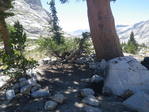 Image 246 in High Sierra Trail photo album.