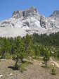 Image 263 in High Sierra Trail photo album.