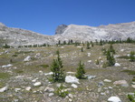 Image 265 in High Sierra Trail photo album.