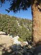 Image 287 in High Sierra Trail photo album.