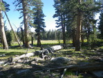Image 290 in High Sierra Trail photo album.