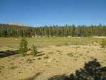 Image 294 in High Sierra Trail photo album.