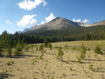 Image 296 in High Sierra Trail photo album.