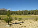 Image 298 in High Sierra Trail photo album.