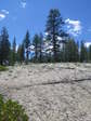 Image 311 in High Sierra Trail photo album.