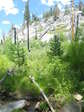 Image 314 in High Sierra Trail photo album.