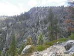 Image 317 in High Sierra Trail photo album.
