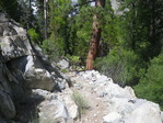Image 319 in High Sierra Trail photo album.