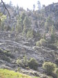 Image 321 in High Sierra Trail photo album.