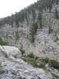Image 386 in High Sierra Trail photo album.