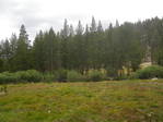 Image 394 in High Sierra Trail photo album.