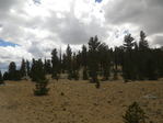 Image 399 in High Sierra Trail photo album.