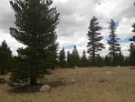 Image 400 in High Sierra Trail photo album.