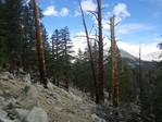 Image 403 in High Sierra Trail photo album.