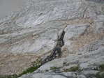 Image 564 in High Sierra Trail photo album.