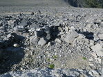 Image 18 in Mount Borah photo album.