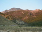 Album image for Mount Borah