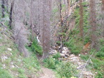 Image 17 in Pistol Creek to Soldier Creek photo album.