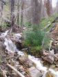Image 18 in Pistol Creek to Soldier Creek photo album.