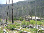 Image 36 in Pistol Creek to Soldier Creek photo album.