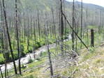 Image 44 in Pistol Creek to Soldier Creek photo album.