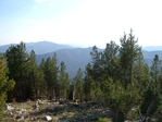 Image 52 in Ruffneck Peak photo album.