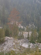 Image 111 in Ruffneck Peak photo album.